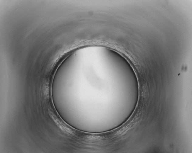 X0000096181499200801251203