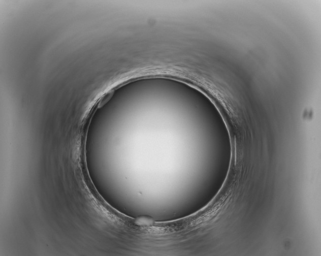 X0000096181500200801251203