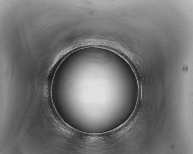X0000096181501200801251203