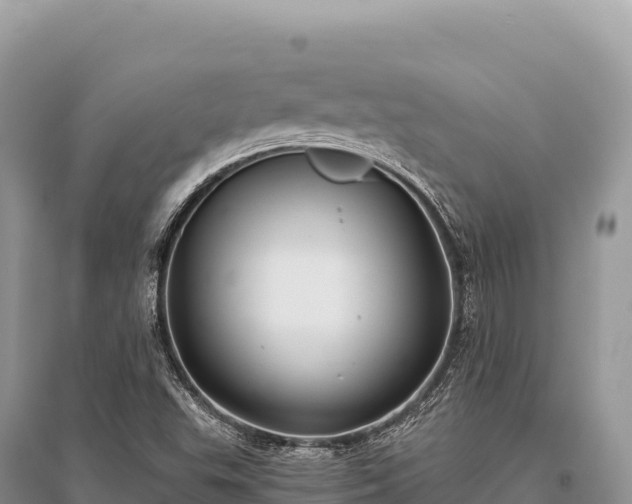 X0000096181503200801251203