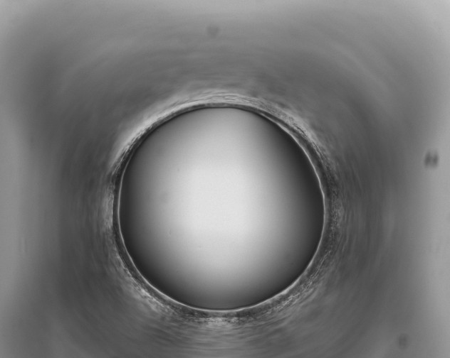 X0000096181504200801251203