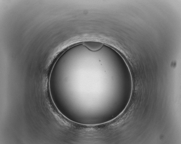 X0000096181507200801251203