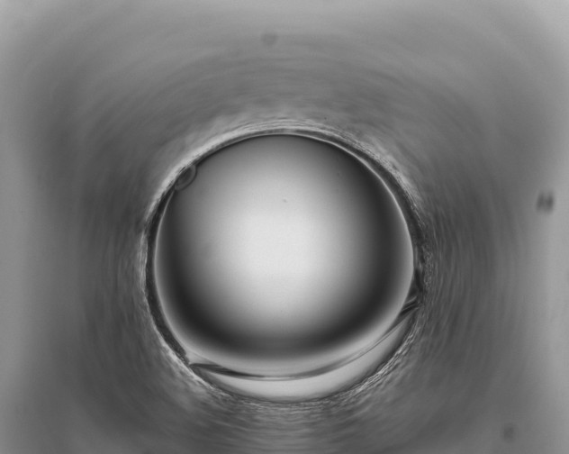 X0000096181508200801251203
