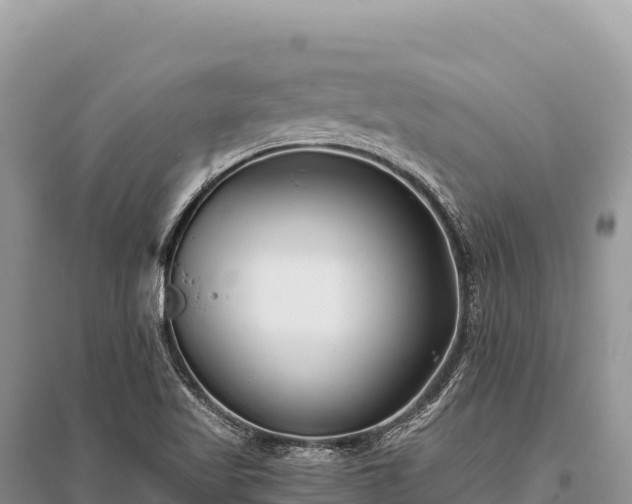 X0000096181509200801251203