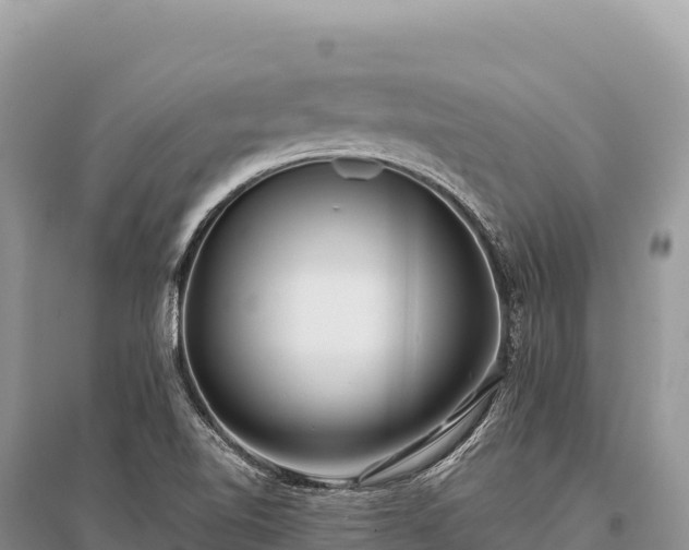 X0000096181510200801251203