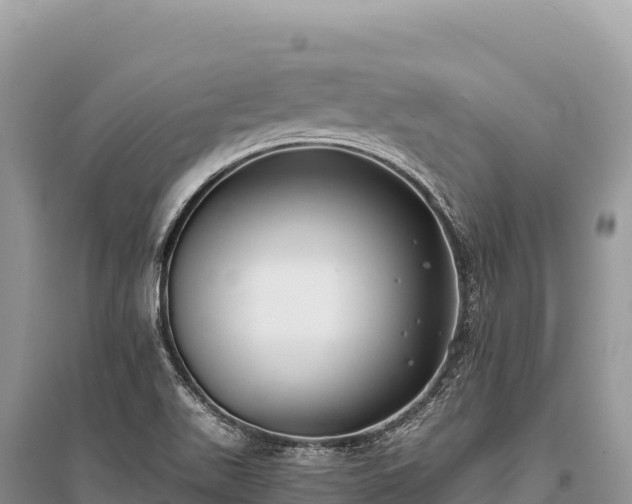X0000096181511200801251203