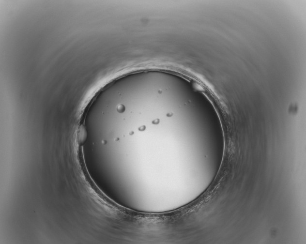X0000096181512200801251203
