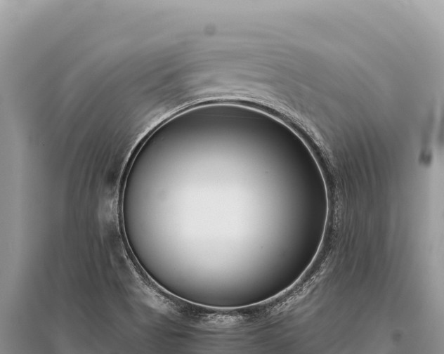 X0000096181513200801251203