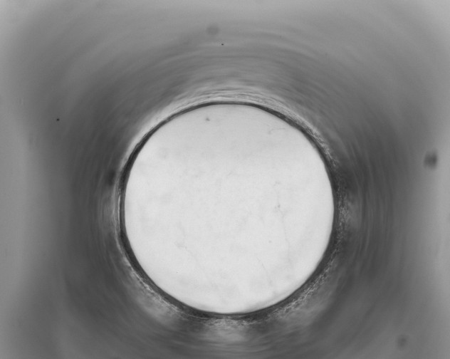 X0000096181514200801251203