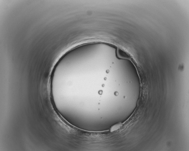X0000096181516200801251203