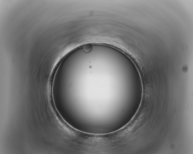 X0000096181517200801251203