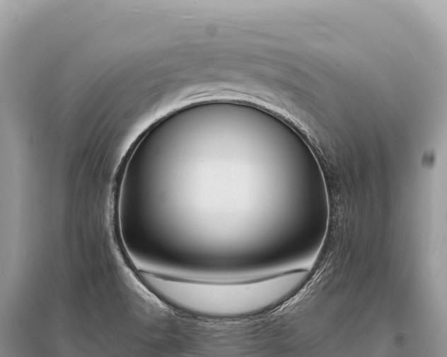 X0000096181518200801251203