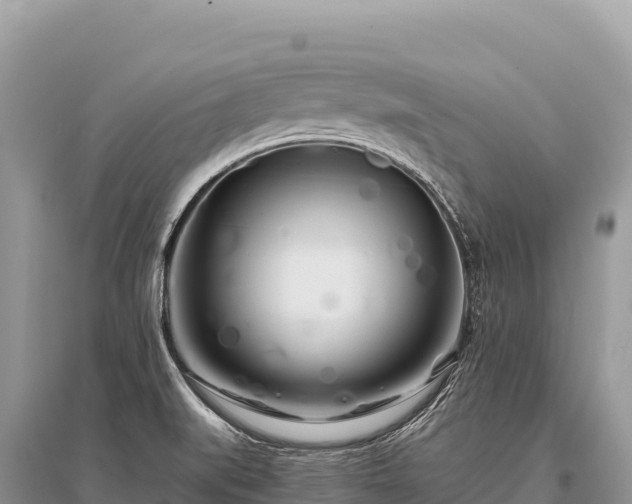 X0000096181519200801251203