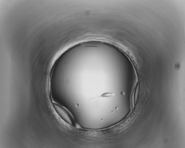 X0000096181520200801251203