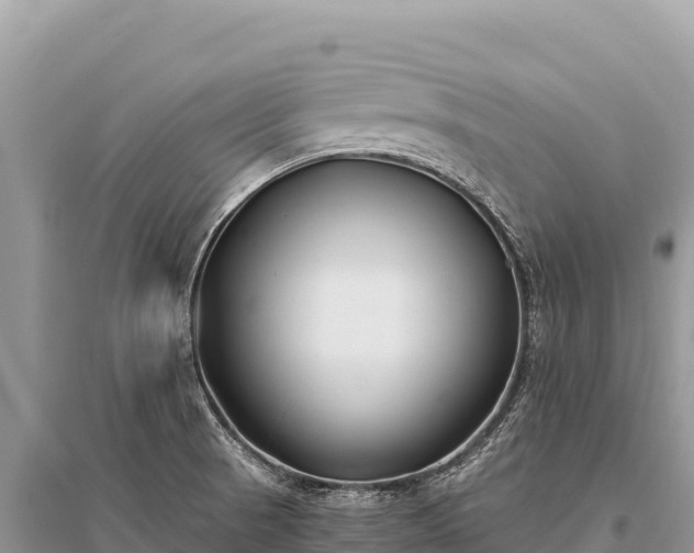 X0000096181521200801251203