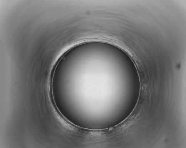 X0000096181523200801251203