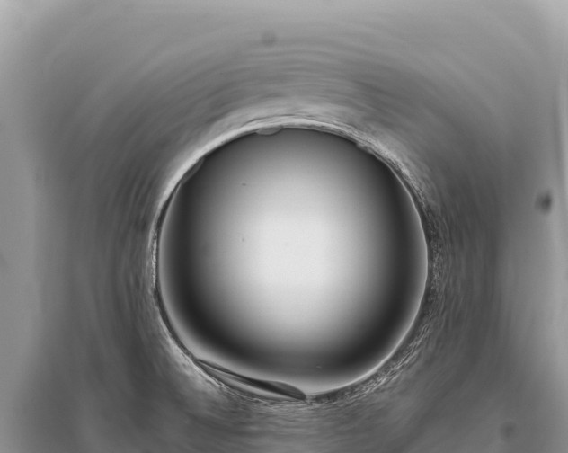 X0000096181524200801251203