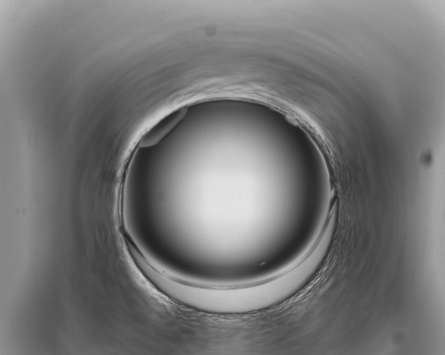X0000096181528200801251203