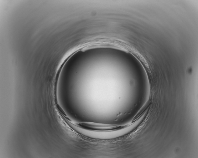 X0000096181530200801251203