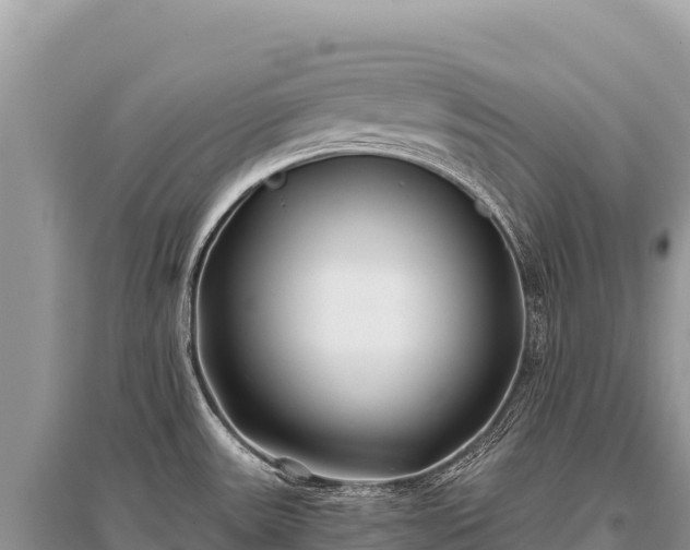 X0000096181531200801251203