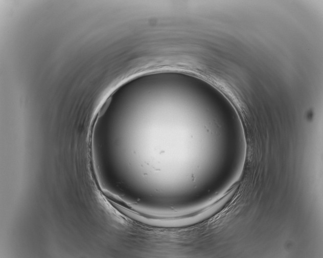 X0000096181532200801251203