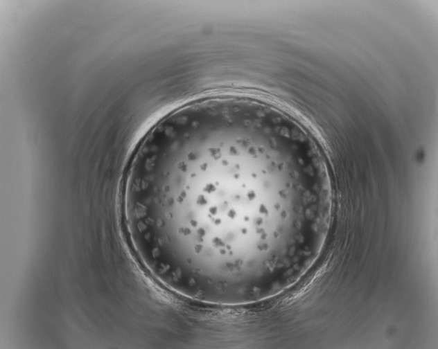 X0000096181533200801251203