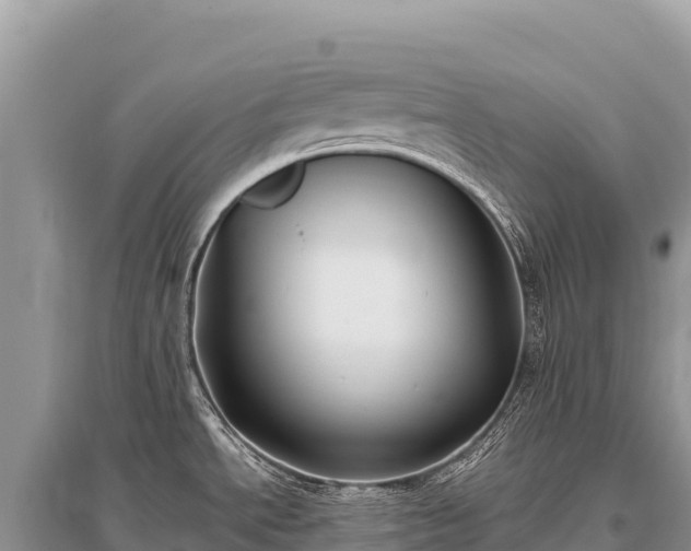X0000096181534200801251203