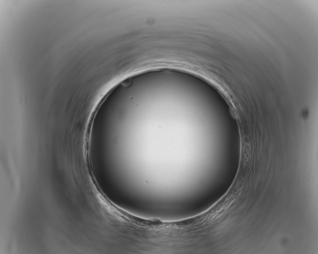 X0000096181535200801251203