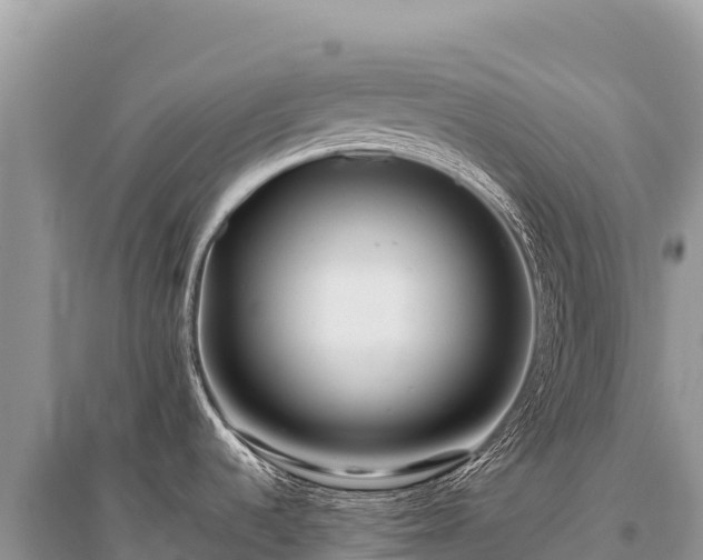 X0000096181536200801251203