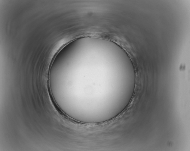 X0000096180003200802011354