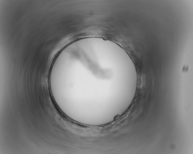 X0000096180004200802011354
