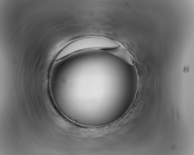 X0000096180005200802011354