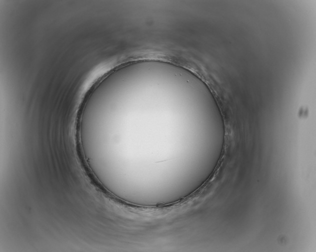 X0000096180006200802011354
