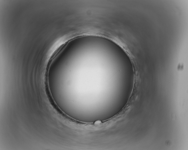 X0000096180007200802011354