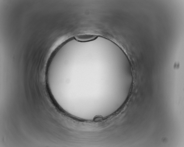 X0000096180008200802011354