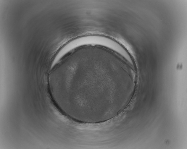 X0000096180009200802011354