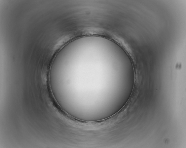 X0000096180010200802011354