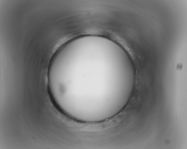 X0000096180011200802011354