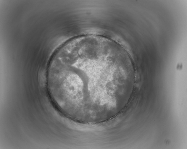 X0000096180012200802011354