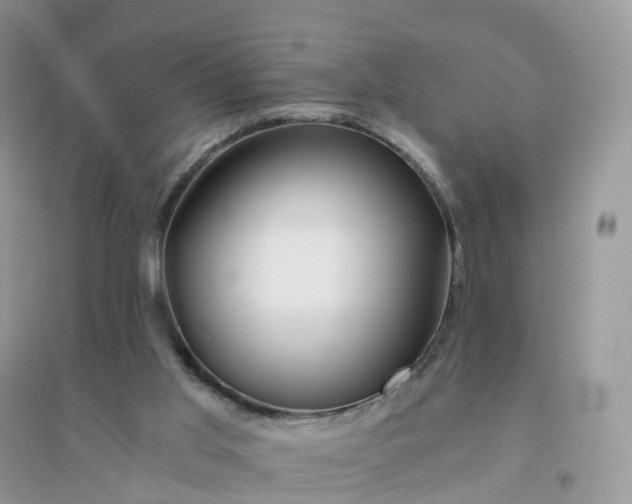 X0000096180013200802011354
