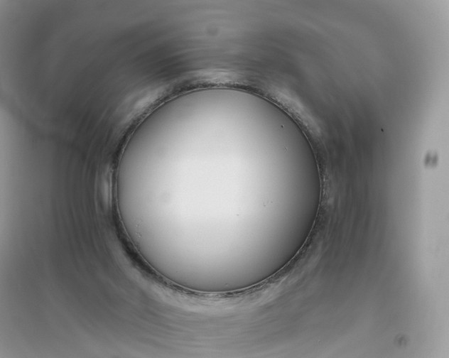 X0000096180014200802011354