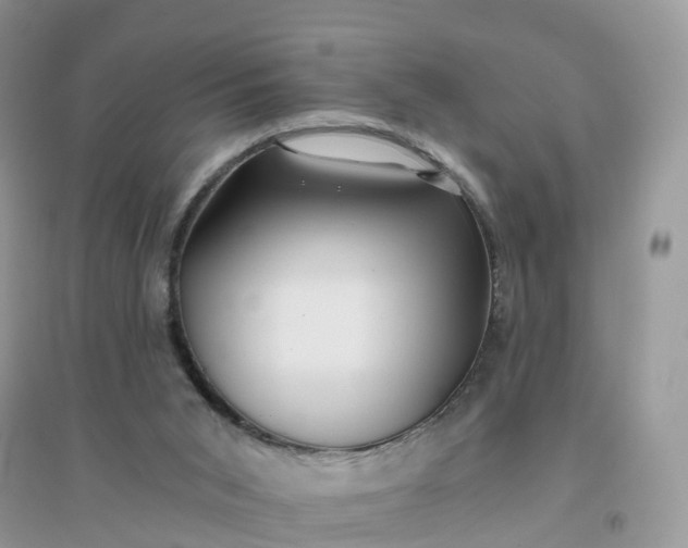 X0000096180015200802011354