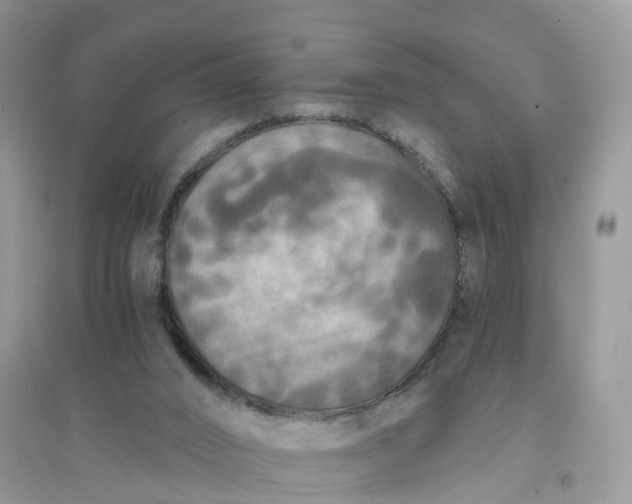 X0000096180016200802011353