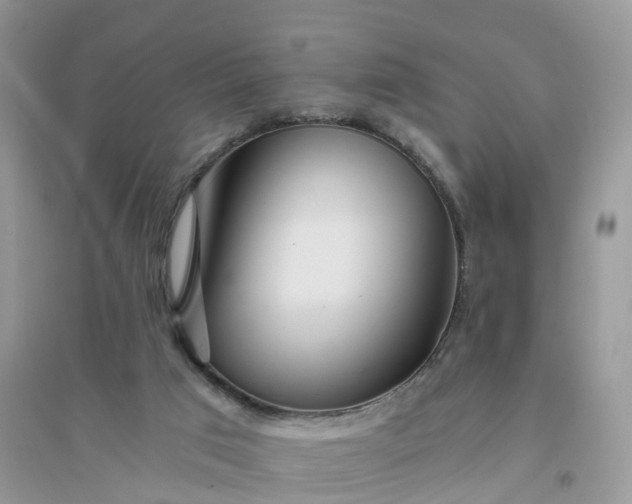 X0000096180017200802011353
