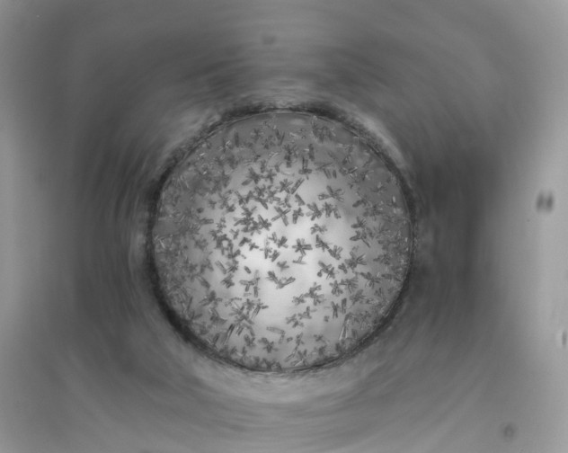 X0000096180018200802011353