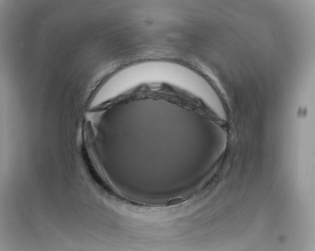 X0000096180019200802011353