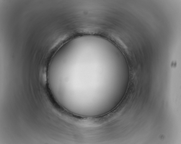 X0000096180020200802011353