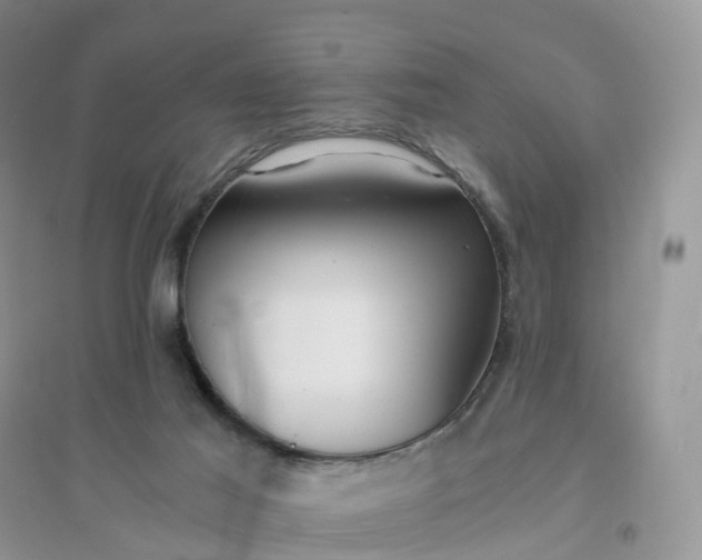 X0000096180021200802011353