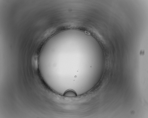 X0000096180022200802011353