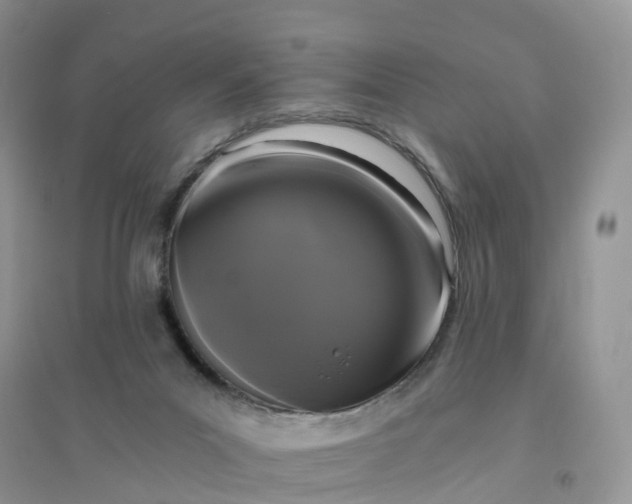 X0000096180023200802011353